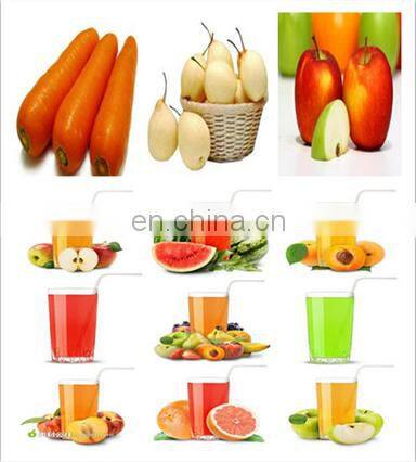 Industrial Fruit Apple Watermelon Mango Pineapple Juice Crusher Juicer Extractor Machine