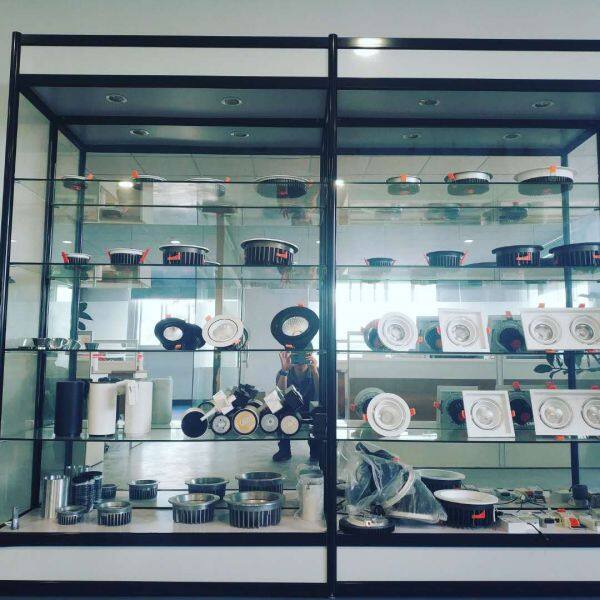 Shenzhen Lingguang Lighting Co.,Ltd company overview - view 1