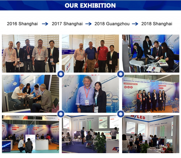 Adled Light Limited company overview - view 2