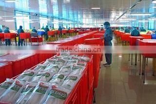 Yantai Shuangta Food Co., Ltd. company overview - view 3