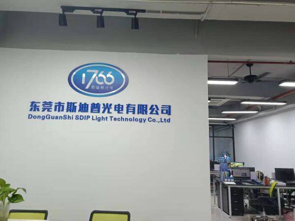 SDIP Light company overview - view 1