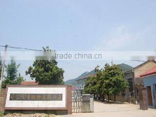 Anji Zhenxing Lianma Spinning And Weaving Co., Ltd. company overview - view 2