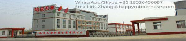 Happy(Tianjin) Technology & Development CO,.LTD. company overview - view 1