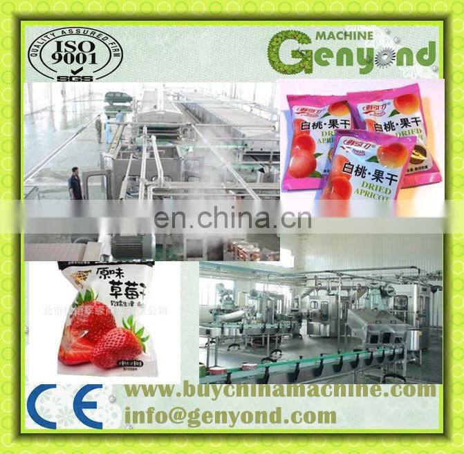Hot Sale Fruit Drying Line for Dehydrated fruit
