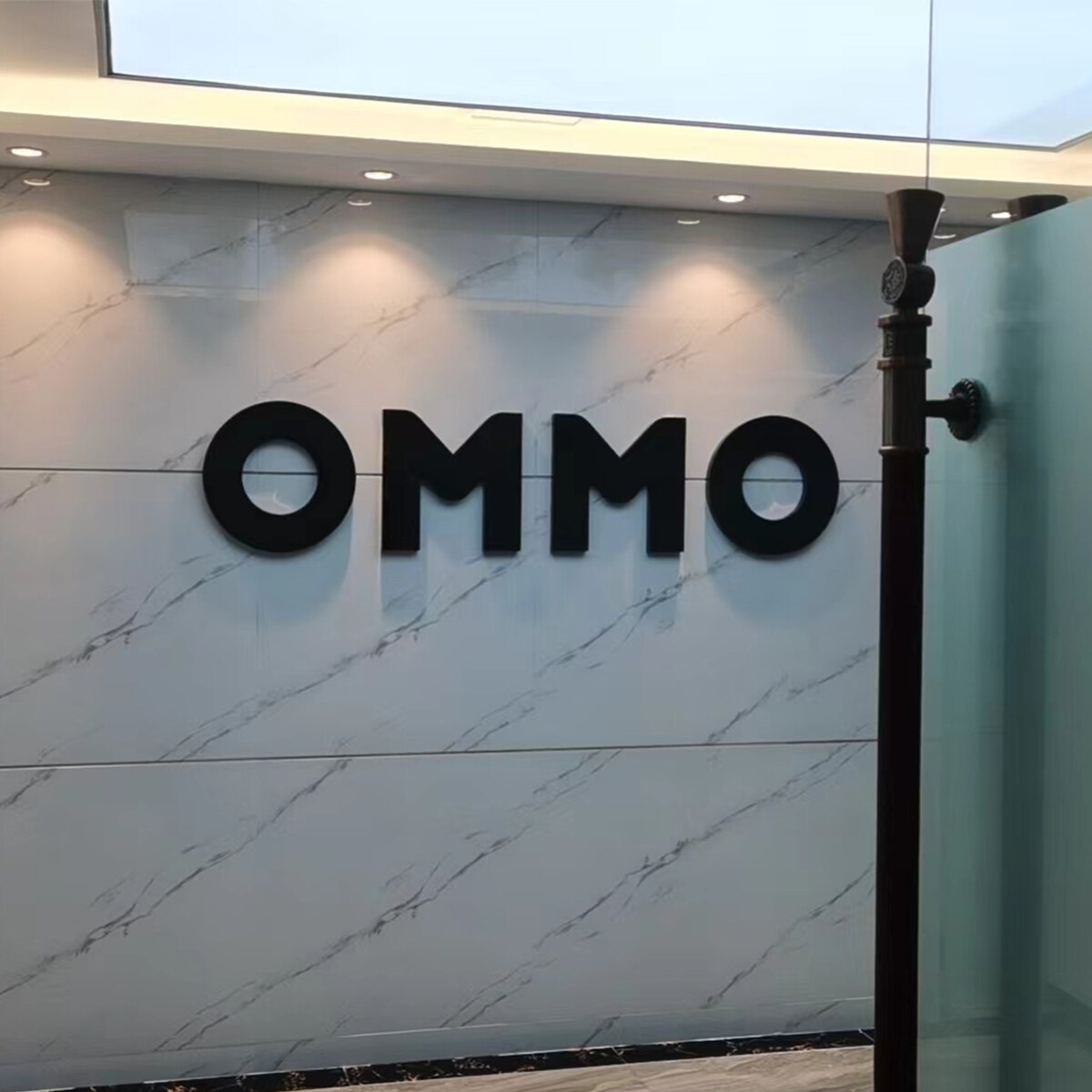 Dongguan OMMO Technology Co., Ltd. company overview - view 1