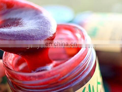 Factory Genyond Complete prickly pear fruit juice paste production line / prickly pear jam processing plant making machine