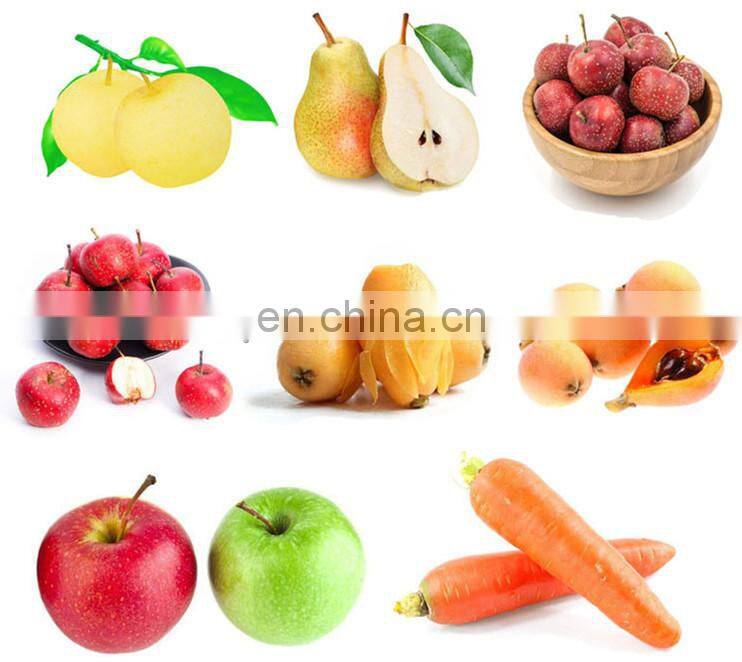 High efficient machine Belt Fruit juice extractor fruit belt press