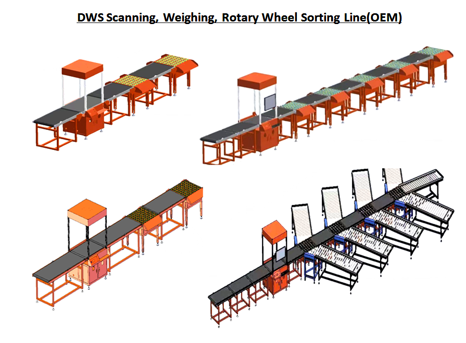 DWS sorting line-1.png