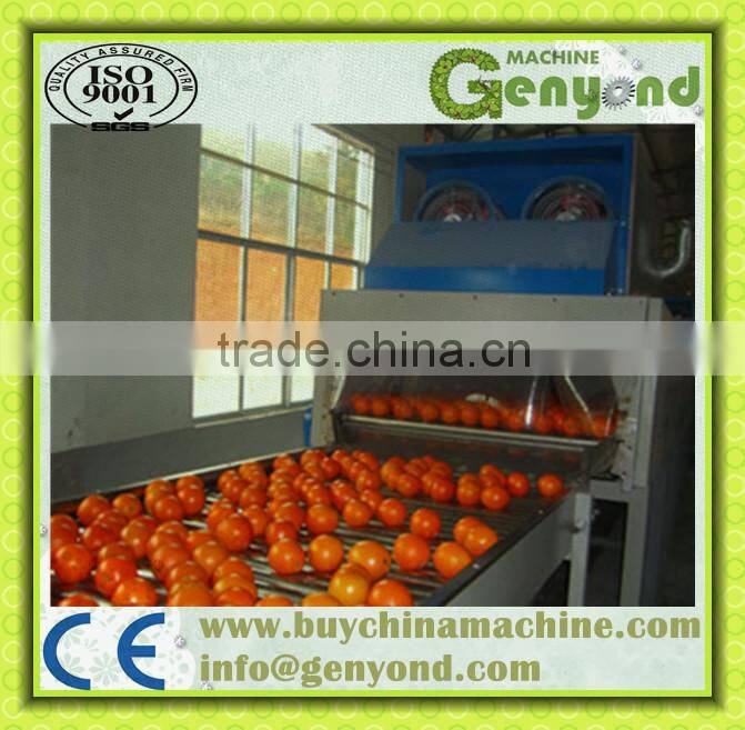 Fruit washing drying waxing grading sorting machine