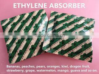 Dalian Xinyang Import & Export Co., Ltd. company overview - view 2