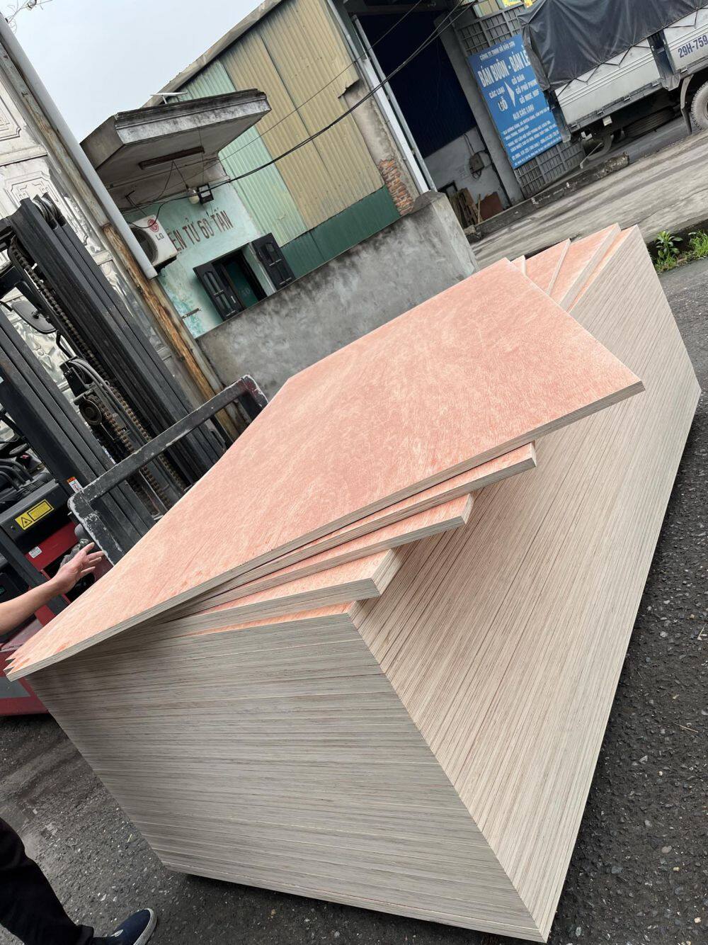 434875766_3855007014729261_1872902412494816566_n