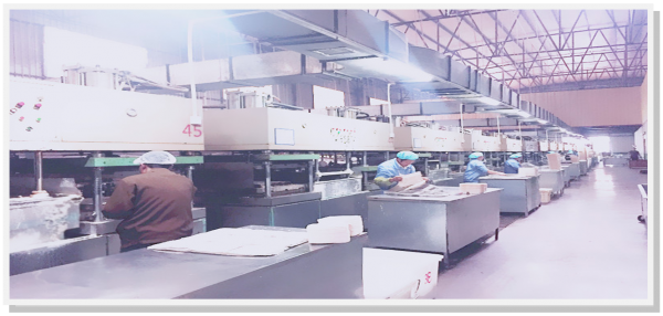 Sagittarius Trade Limited company overview - view 1