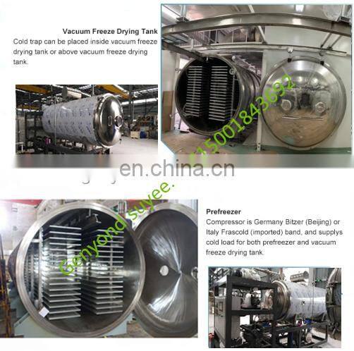 High capacity 100m2 vegetable /flower lyophilizer