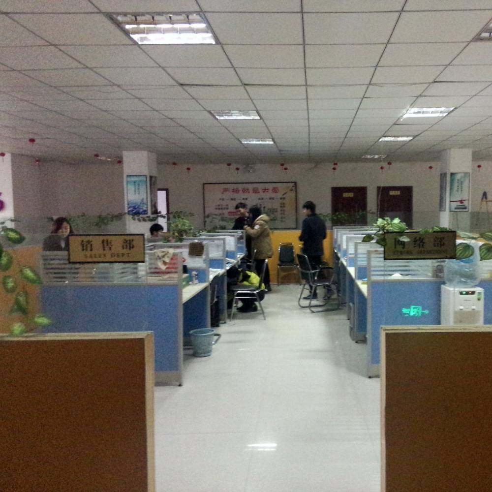 Henan Tongzhixin Amusement Equipment Co., Ltd. company overview - view 1