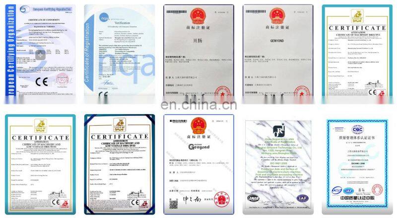 Industrial Fruit Juice Making Machine Industrial Cold screw Press pressing Juicer Extractor extracting Machine