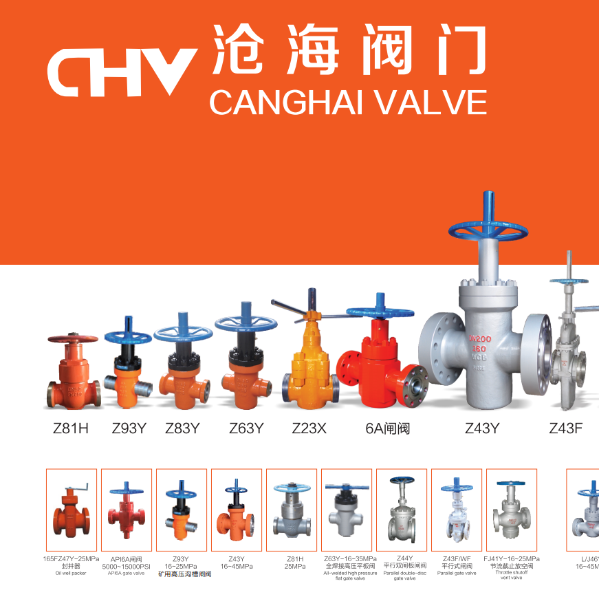 Zhejiang Canghai Valve Technology Co., Ltd. company overview - view 1