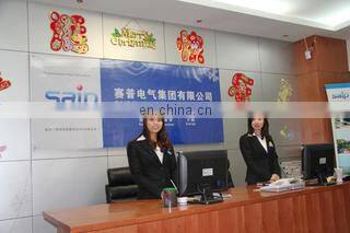 Yueqing Saip Electric Co., Ltd. company overview - view 1