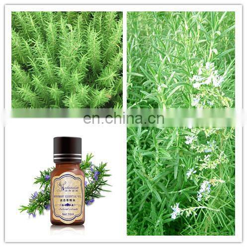 Rosemary Essential Oil Distiller