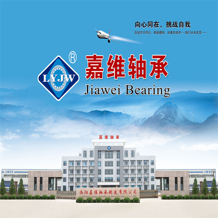 Luoyang Jiawei Bearing Manufacturing Co.,Ltd. company overview - view 1