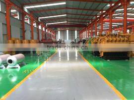 Shandong Dragon New Energy Co., Ltd. company overview - view 2