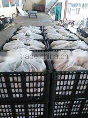 Shanxi Qinghe Trading Co., Ltd. company overview - view 3