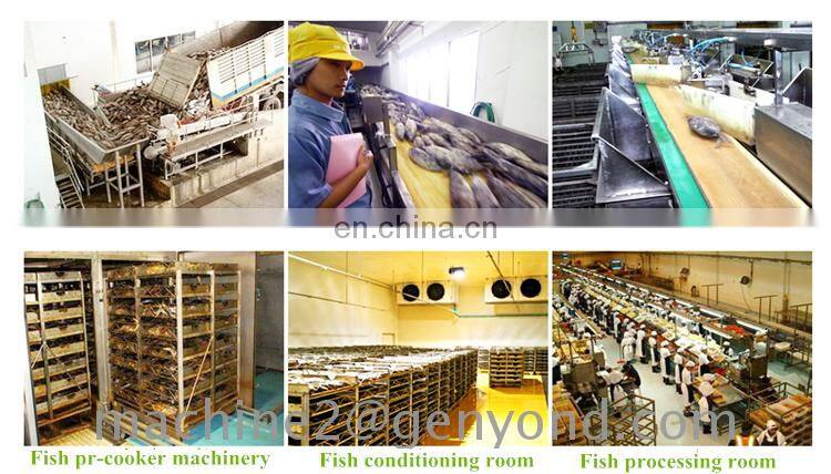 Design tools and equipment in fish processing with cheap price