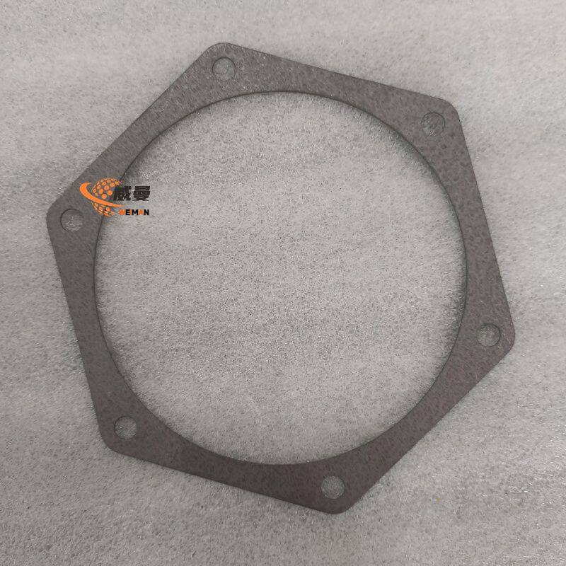 4110000556189 水泵密封垫 0