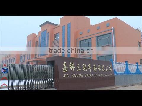 Jining Sanli Glove Co., Ltd. company overview - view 1