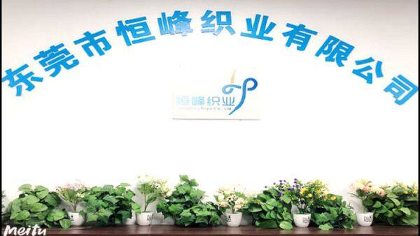 Dongguan Hengfeng Weaving Co., Ltd. company overview - view 2