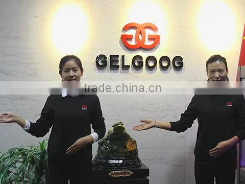 Henan Gelgoog Commercial And Trading Co., Ltd. company overview - view 1