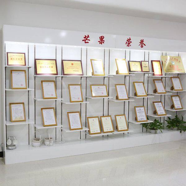 Guangzhou Mango Energy Technology Co., Ltd. company overview - view 2