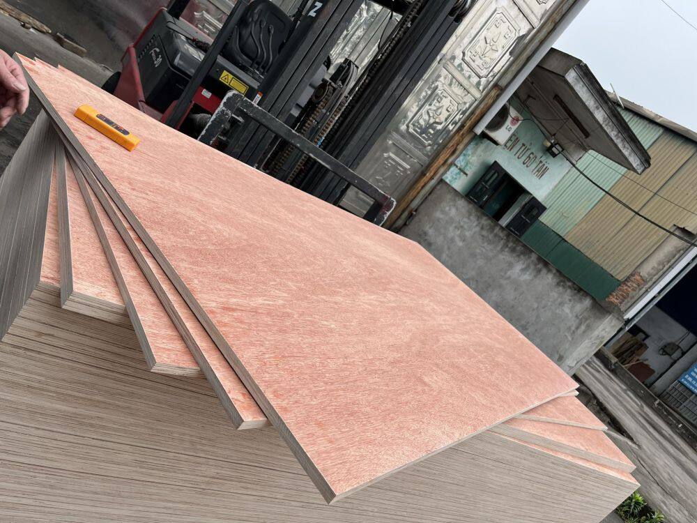 434841106_3855007054729257_6919832820074927592_n