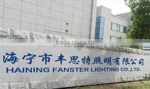 Haining Fanster Import&Export Co., Ltd. company overview - view 1