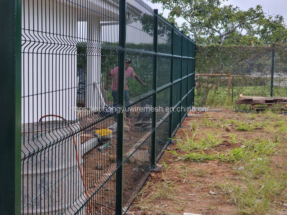 212080275_262937432264706_5589326418360892979_n