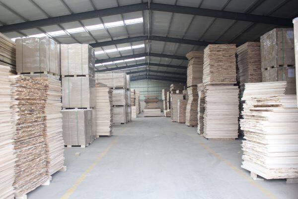 Dongming Sanxin Wood Industry Co.,Ltd company overview - view 2