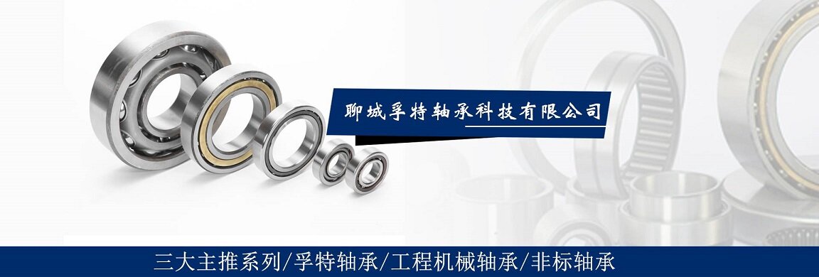 Liaocheng Fute Bearing Technology Co., Ltd. company overview - view 1
