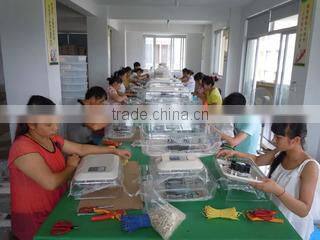 Guangzhou Yilaisi Import & Export Co., Ltd. company overview - view 1