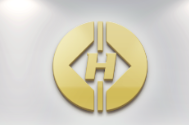 Chengdu Volcanic Fish Technology Co., Ltd company overview - view 1