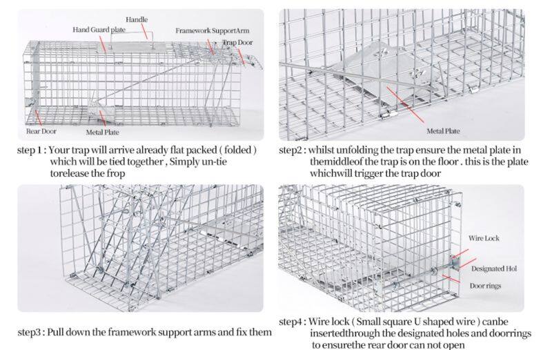 Humane Live Animal Cage Trap Kit for Humane Catch Release Rodent Small Cat, Rabbits, Squirrel, Opossum, Squire, Raccoon