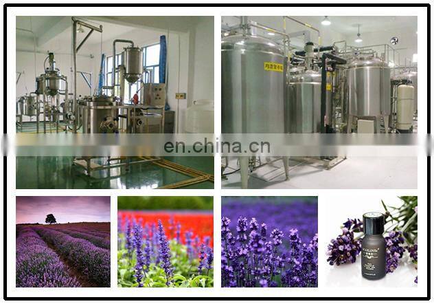 CHINA Factory steam distiller for lavender essential oil extraction with logo