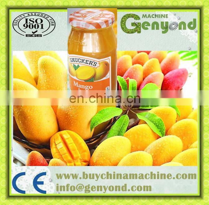 Factory price and stainless Mango juice/jam/pulp/puree/paste/sauce processing plant
