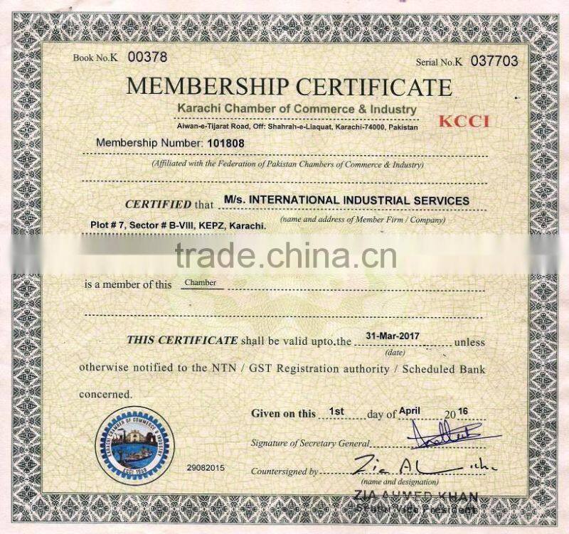 International Industrial Services company overview - view 2