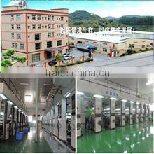 Dongguan Auspicious Industrial Co., Ltd. company overview - view 1