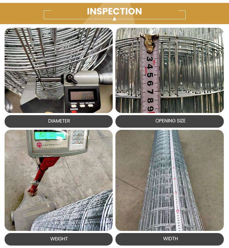 镀锌电焊网卷_05.jpg
