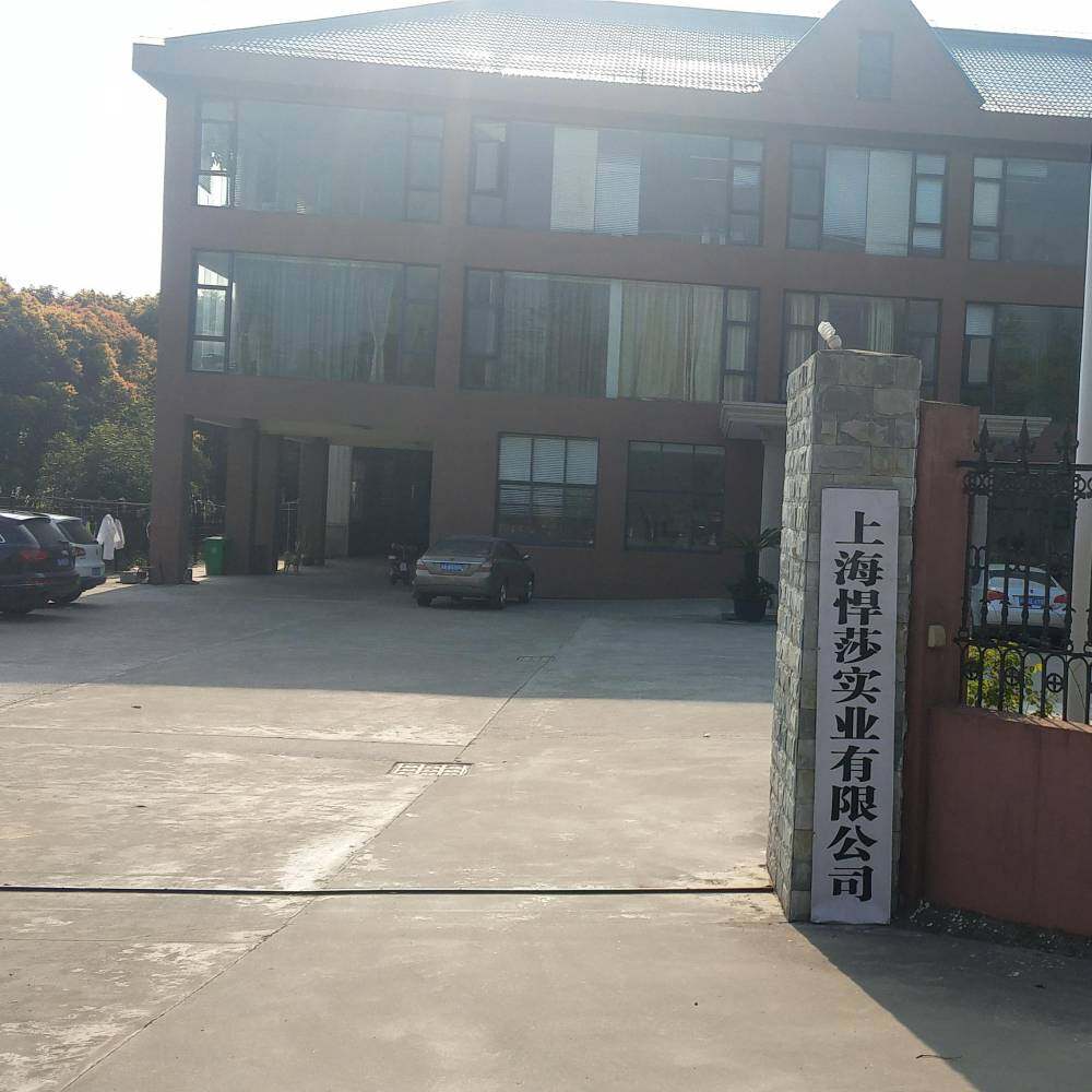 Shanghai Hansha Industry Co., Ltd. company overview - view 1