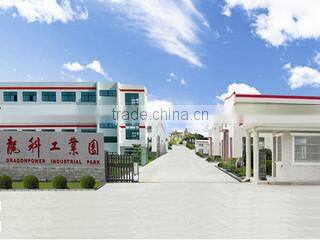 Yancheng DragonPower Electric Co., Ltd. company overview - view 1