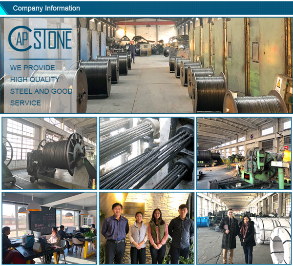 Capstone Steel Material Co., Ltd company overview - view 1