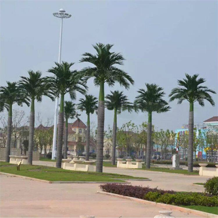 Coconut Palm Tree (1)