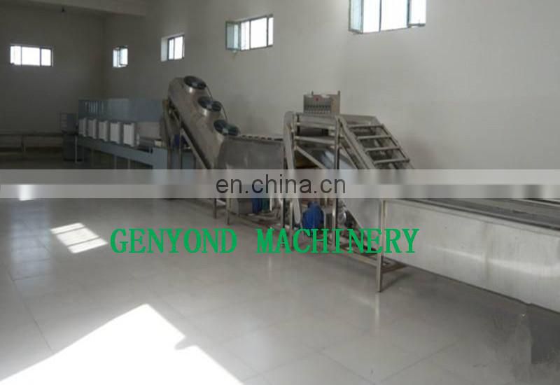 Manufacturer Supplier mushroom canning machine