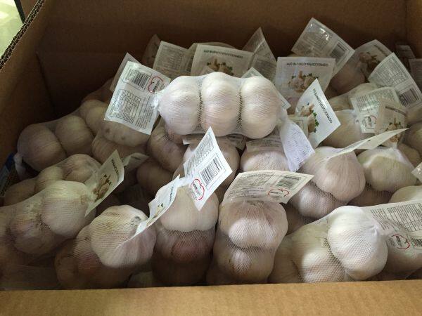 Pioneer Garlic Group company overview - view 2